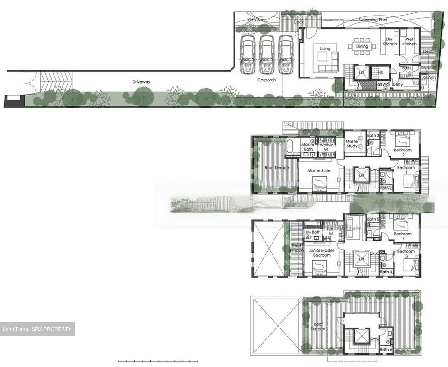 Palm Road (D15), Detached #466360681